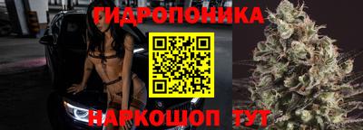 тгк Свободный