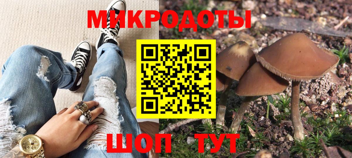 Псилоцибиновые грибы Cubensis Полысаево