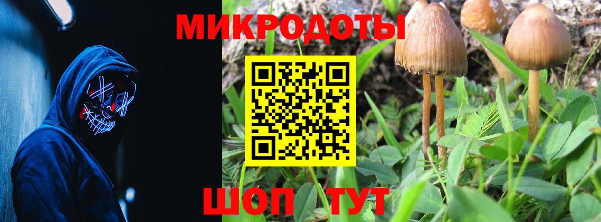 Полысаево  Псилоцибиновые грибы GOLDEN TEACHER  Вход с VPN 